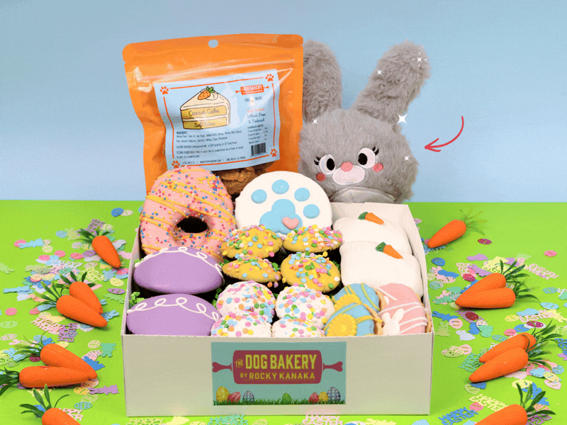 Best Treats for Goldendoodles